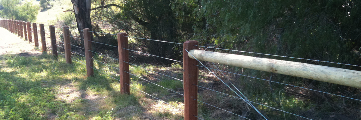 Bowral Property